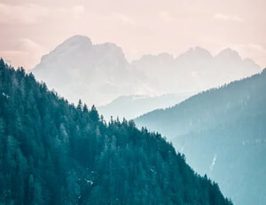 乌克兰主场奏凯，欧洲杯征程扬帆起航！