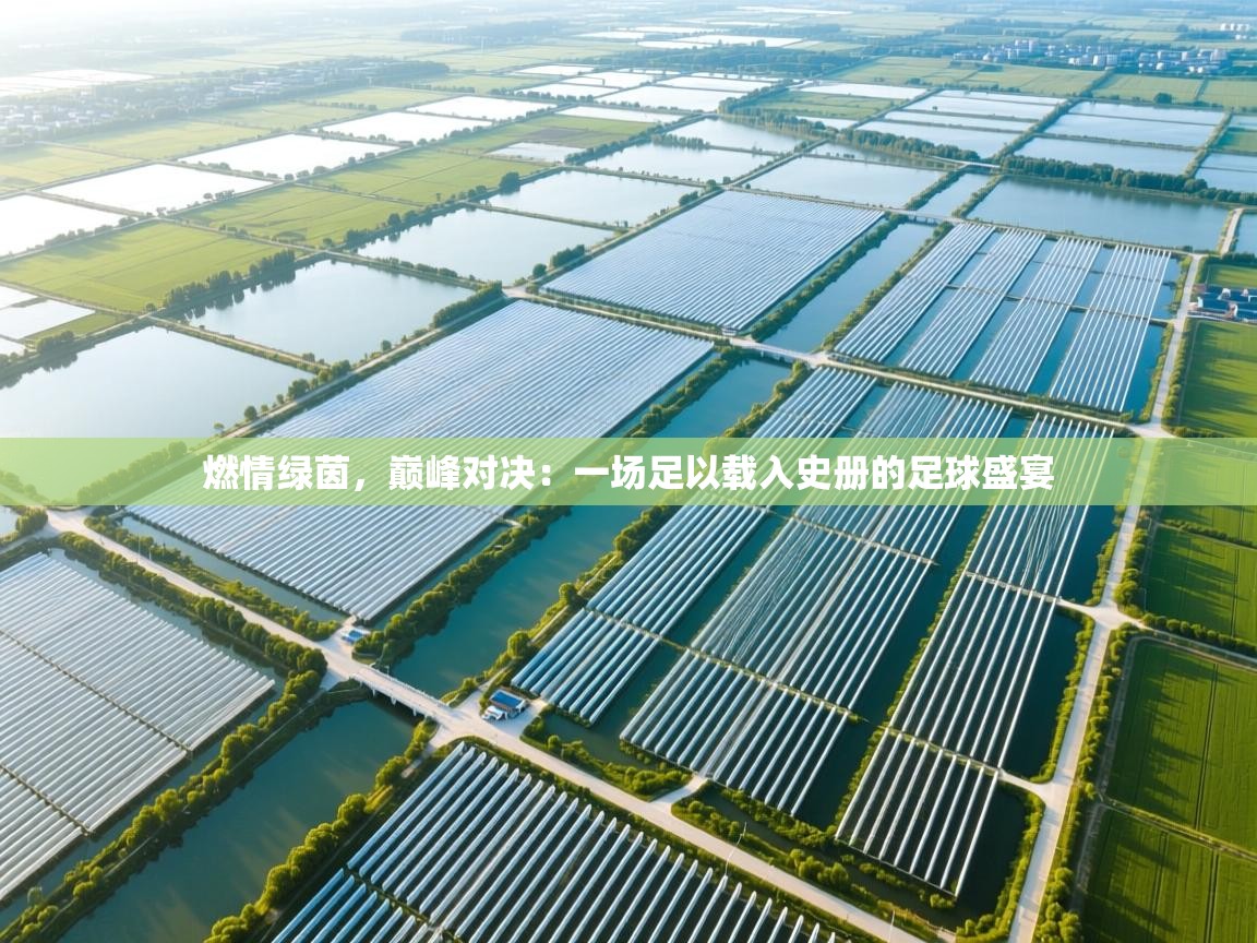 燃情绿茵,巅峰对决:一场足以载入史册的足球盛宴 第2张