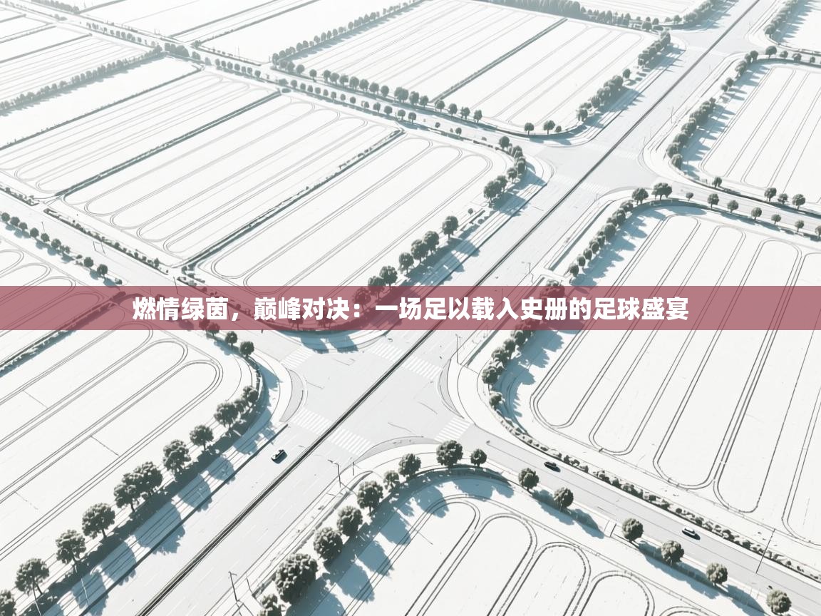 燃情绿茵，巅峰对决：一场足以载入史册的足球盛宴