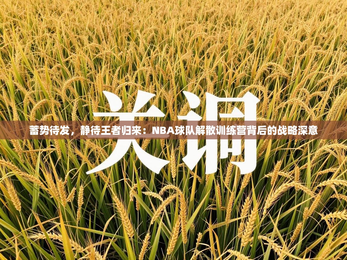 蓄势待发,静待王者归来:NBA球队解散训练营背后的战略深意 第2张