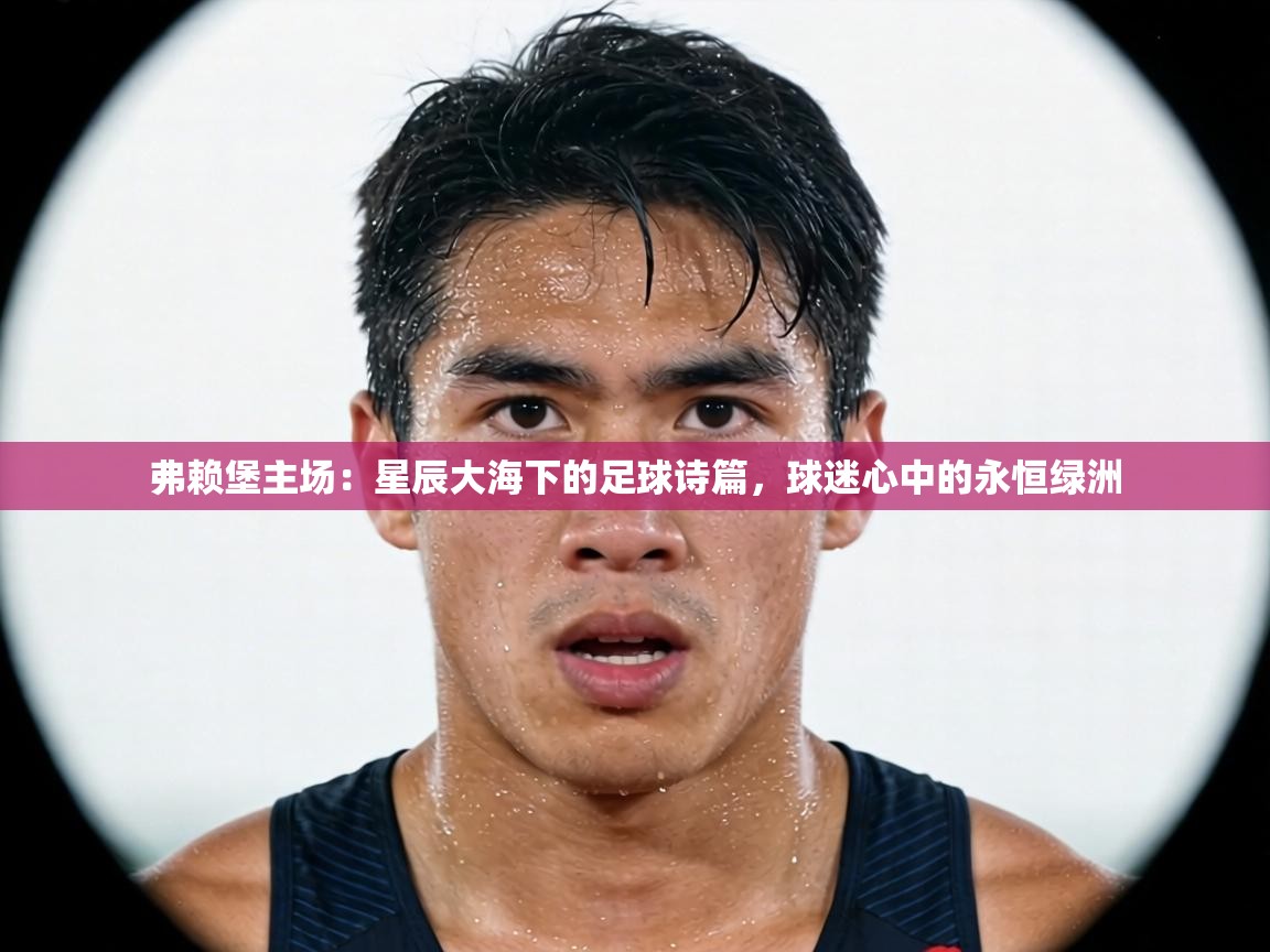 弗赖堡主场：星辰大海下的足球诗篇，球迷心中的永恒绿洲