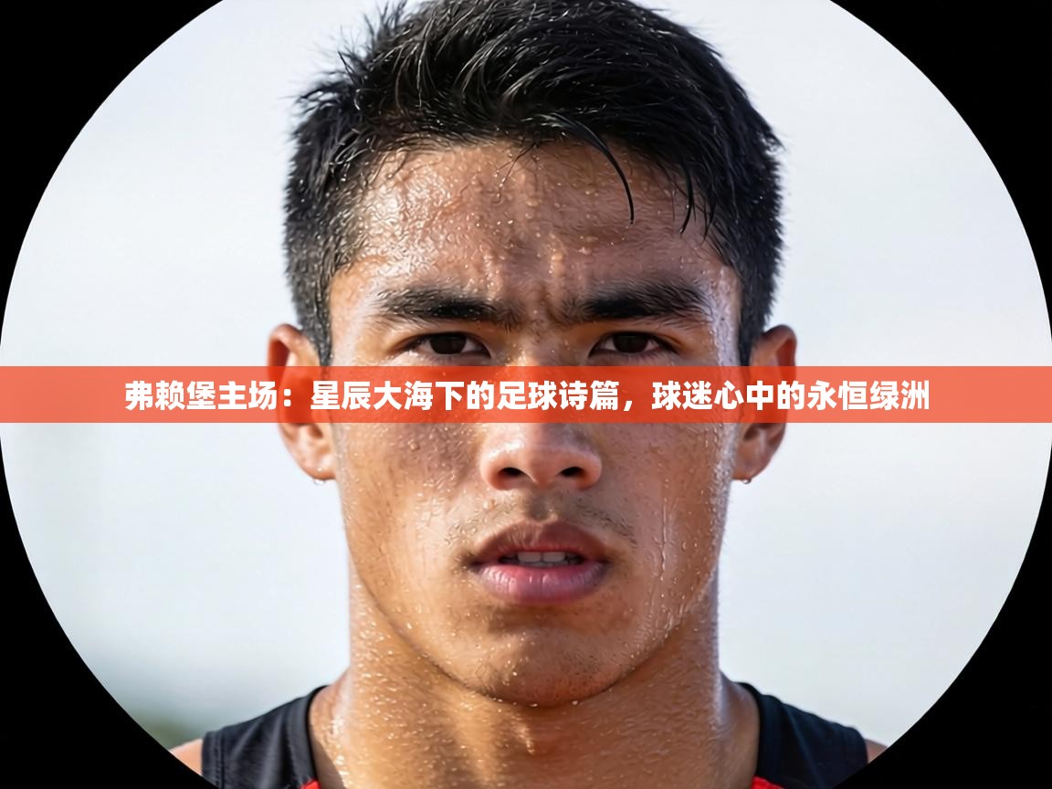 弗赖堡主场：星辰大海下的足球诗篇，球迷心中的永恒绿洲  第2张