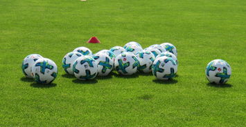 爱游戏馆-华登斯堡德甲夺冠！登上积分宝座，霸主归来！，华登斯足球俱乐部